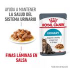 Royal Canin Urinary Care Adult Saqueta em molho para gatos, , large image number null